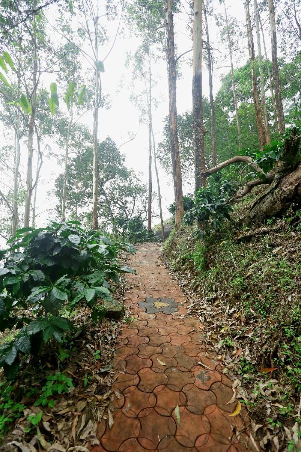 Green Magic Home Munnar Bagian luar foto