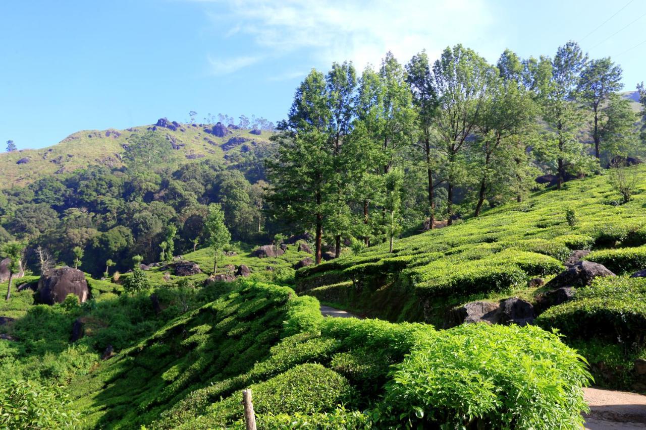 Green Magic Home Munnar Bagian luar foto